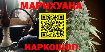СК Обь