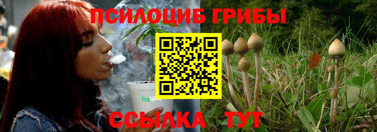 Псилоцибиновые грибы ЛСД Ревда
